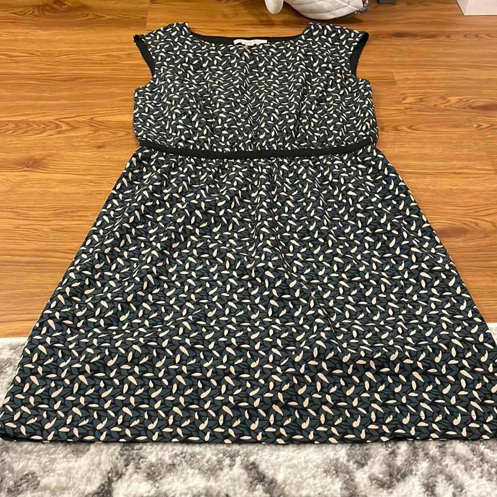Never worn LOFT dress!